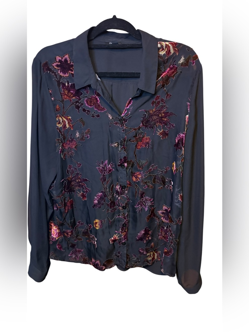 Roz & Ali Floral Velvet Burnout Sheer Blouse XL Button Down Boho